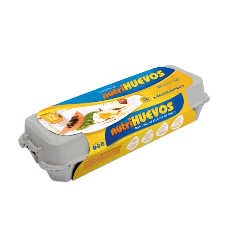 Bandeja de cartón x 12 unidades - Tipo B