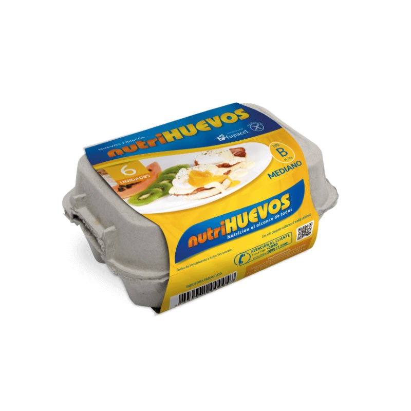 Bandeja de cartón x 6 unidades - Tipo B