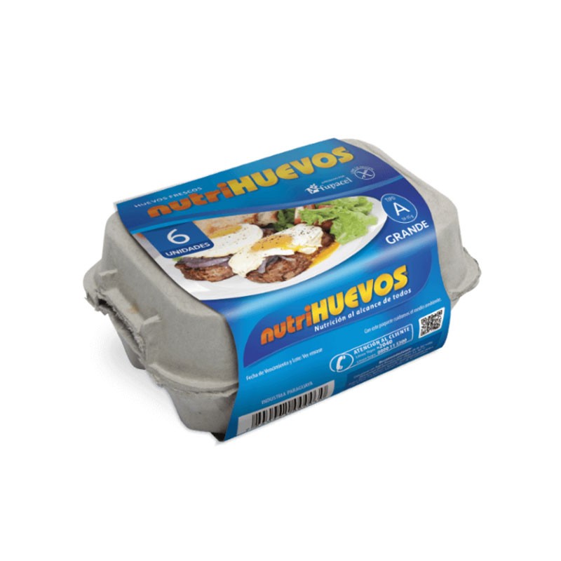 Bandeja de cartón x 6 unidades - Tipo A