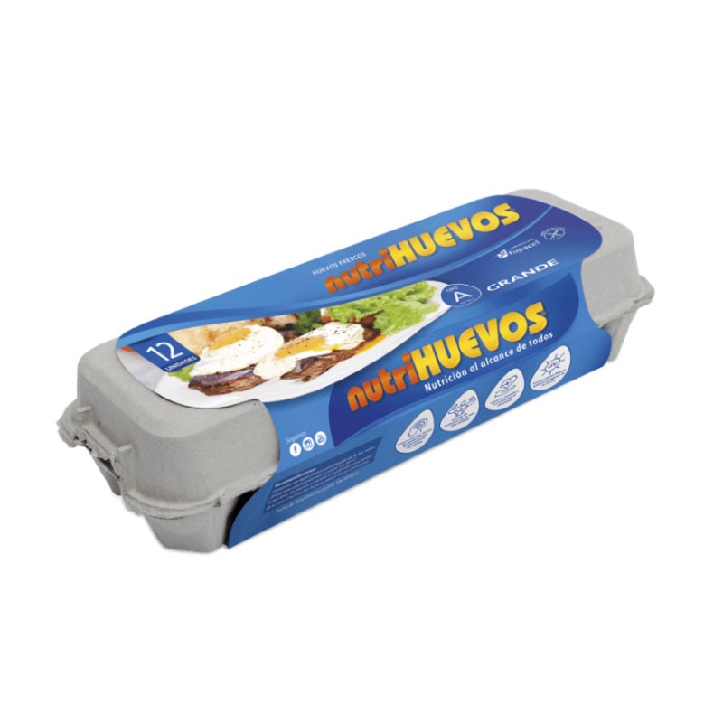 Bandeja de cartón x 12 unidades - Tipo A